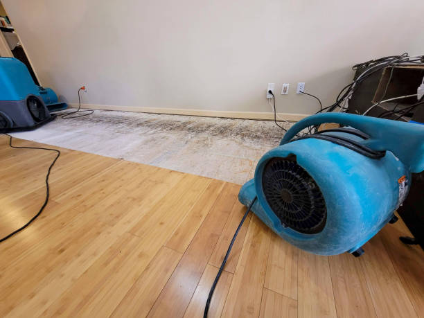 Professional Sewage Cleanup technician working in Littlefield, AZ